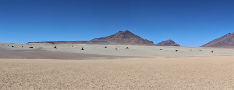 Panorama Dali Desert