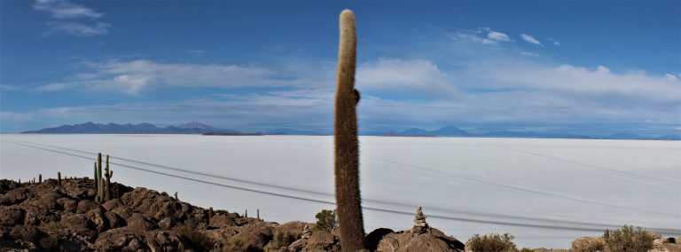 Panorama Isla Cactus