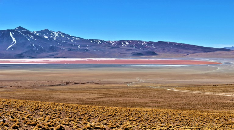 Panorama Laguna Colorada 2